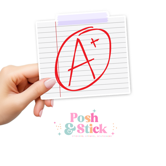 A Plus Notebook | School Education Clear Vinyl Stickers | Unique Gifts For Family Friends