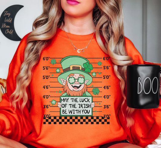 Leprechaun Mugshot Sweatshirt | Feeling Lucky Collection | Unique Gifts for Family Friends