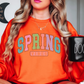 Spring Vibes Sweatshirt | Spring Fling Collection | Unique Gifts for Family Friends