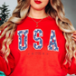 USA 1776 Sweatshirt | Stars and Stripes Collection | Unique Gifts for Family