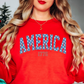America 1776 Sweatshirt | Stars and Stripes Collection | Unique Gifts for Family and Friends