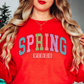 Spring Vibes Sweatshirt | Spring Fling Collection | Unique Gifts for Family Friends